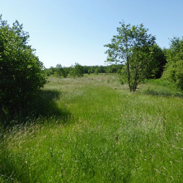 Soestpolder (Friesland)